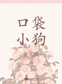 口袋狗多少钱一只幼崽